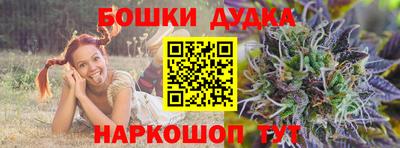 крисы Мариинск